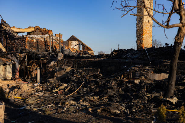 Reliable Content Restoration contractor in Victoria, MN by Fire Damage Flint